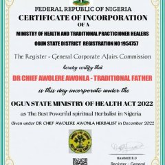 THE BEST POWERFUL HERBALIST IN NIGERIA